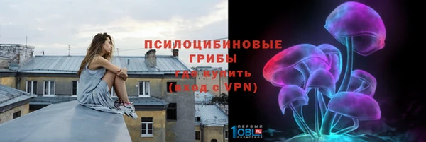 дмт Заводоуковск