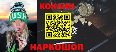 крисы Новокубанск