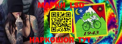 крисы Новокубанск
