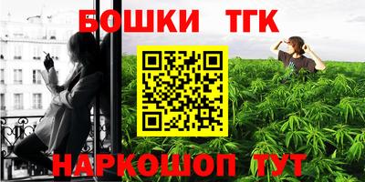 прущие грибы Новозыбков