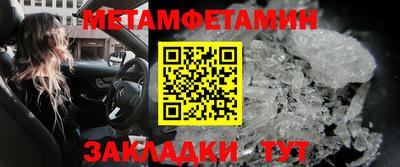 прущие грибы Новозыбков