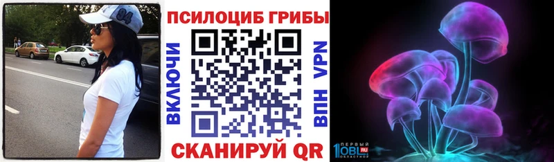 kraken сайт  Снежинск  Псилоцибиновые грибы Psilocybe  закладка 