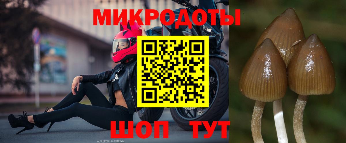 Галлюциногенные грибы Magic Shrooms Снежинск